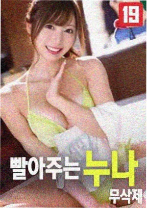 加拿大电影盐与铁竖版海报